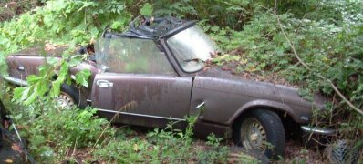 Triumph.jpg Triumph.jpg