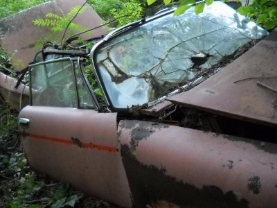 010 (2).jpg 010 (2).jpg