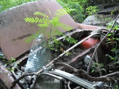 012 (2).jpg 012 (2).jpg