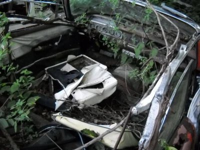 013 (2).jpg 013 (2).jpg