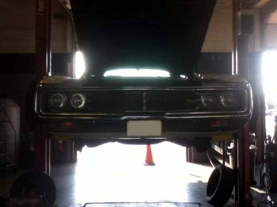 IMG_1495.jpg IMG_1495.jpg