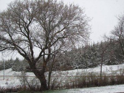 IMG_0780.jpg IMG_0780.jpg