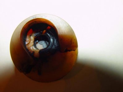 DSC01251.jpg DSC01251.jpg