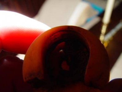 DSC01244.jpg DSC01244.jpg