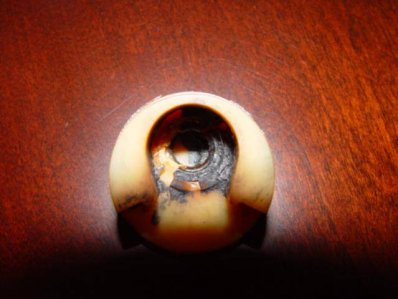 DSC01246.jpg DSC01246.jpg