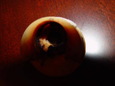 DSC01247.jpg DSC01247.jpg