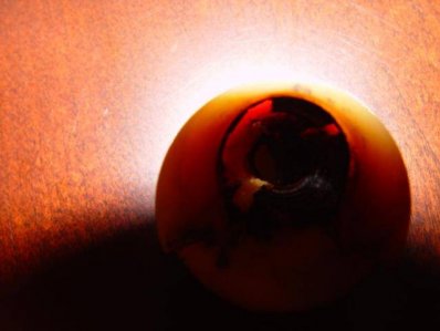 DSC01248.jpg DSC01248.jpg