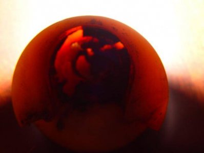 DSC01250.jpg DSC01250.jpg