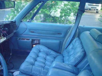 DSC02261.jpg DSC02261.jpg