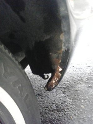 2014-05-10 17.34.20.jpg 2014-05-10 17.34.20.jpg