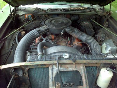 IMG_20140523_164818.jpg IMG_20140523_164818.jpg