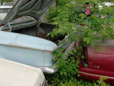 HPIM5258.jpg HPIM5258.jpg