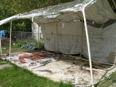 GEDC0062.jpg GEDC0062.jpg