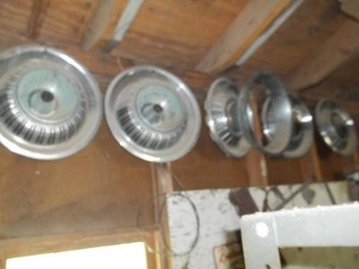 100_6625.jpg 100_6625.jpg