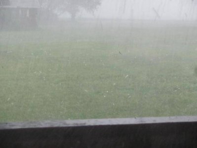 Copy of IMG_1414.JPG Copy of IMG_1414.JPG