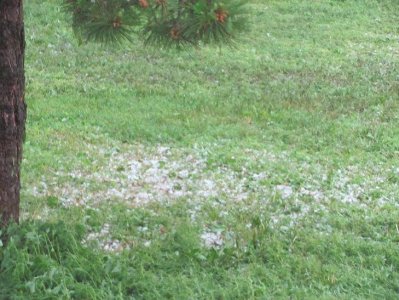 Copy of IMG_1415.jpg Copy of IMG_1415.jpg