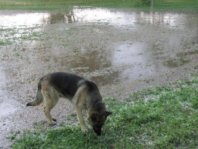 Copy of IMG_1418.jpg Copy of IMG_1418.jpg