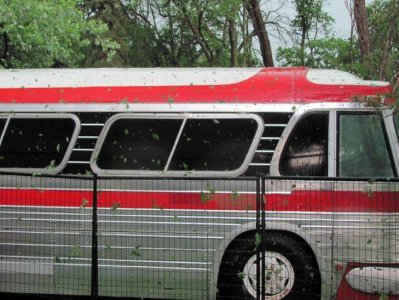 Copy of IMG_1420.jpg Copy of IMG_1420.jpg