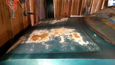 IMAG0083.jpg IMAG0083.jpg