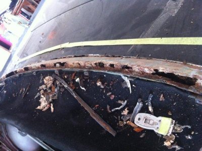 IMG_3294.jpg IMG_3294.jpg