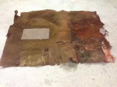 Image_1.jpg Image_1.jpg