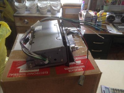 IMG_1895.jpg IMG_1895.jpg