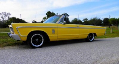 P6210003 (Large).jpg