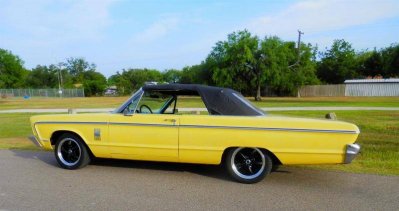 P6210007 (Large).jpg