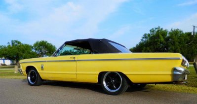 P6210008 (Large).jpg