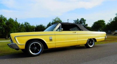 P6210009 (Large).jpg