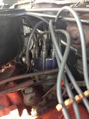 IMG_0776.jpg IMG_0776.jpg