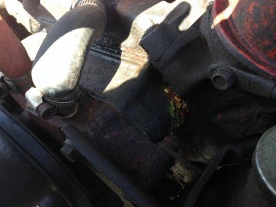 IMG_0775.jpg IMG_0775.jpg