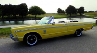 P6210006 (Large).jpg