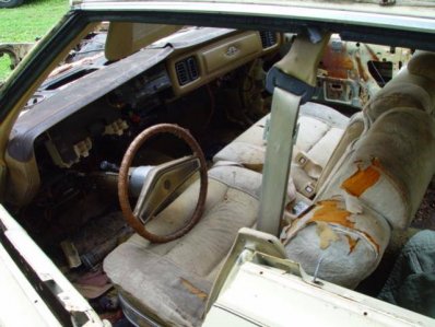 DSC02994.jpg DSC02994.jpg