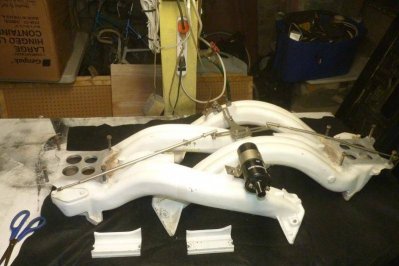 P1020518.jpg P1020518.jpg