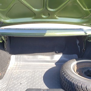 20190629_093008_resized (1).jpg