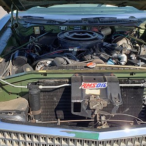 20190629_093341_resized (1).jpg