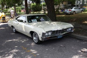 IMG_1955 (1024x683).jpg