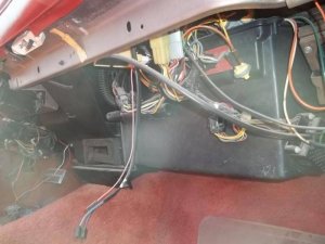 100_1465.jpg 100_1465.jpg