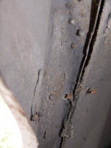 100_4797.jpg 100_4797.jpg