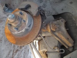 100_1441.jpg 100_1441.jpg