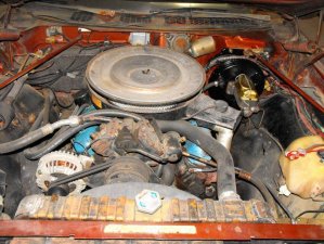 118263 2009 360 engine (2) (1024x768).jpg 118263 2009 360 engine (2) (1024x768).jpg