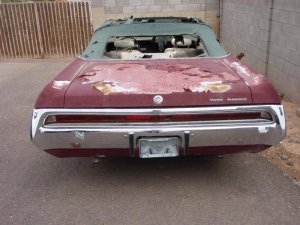 P9110008.jpg P9110008.jpg