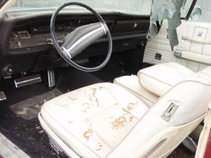 P9110010.jpg P9110010.jpg