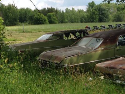 00202_8M4uTiU4pMJ_600x450.jpg 00202_8M4uTiU4pMJ_600x450.jpg