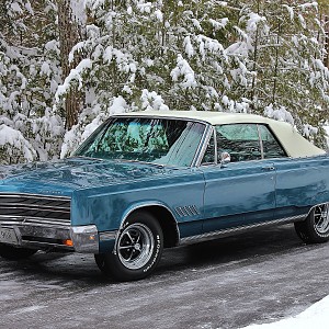 IMG_3549 - Copy (2).JPG