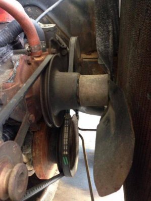 kmccabe56 fan pic.jpg kmccabe56 fan pic.jpg