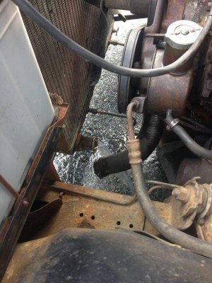 IMG_1110.jpg IMG_1110.jpg