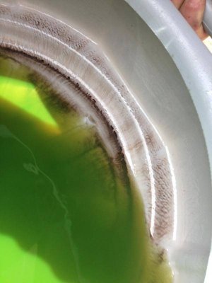 IMG_1245.jpg IMG_1245.jpg