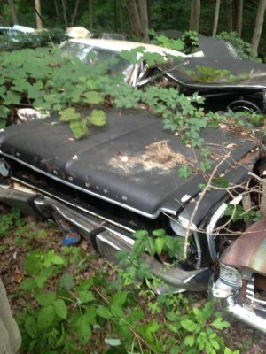 10444555_896323390395243_1266314335688715867_n.jpg 10444555_896323390395243_1266314335688715867_n.jpg